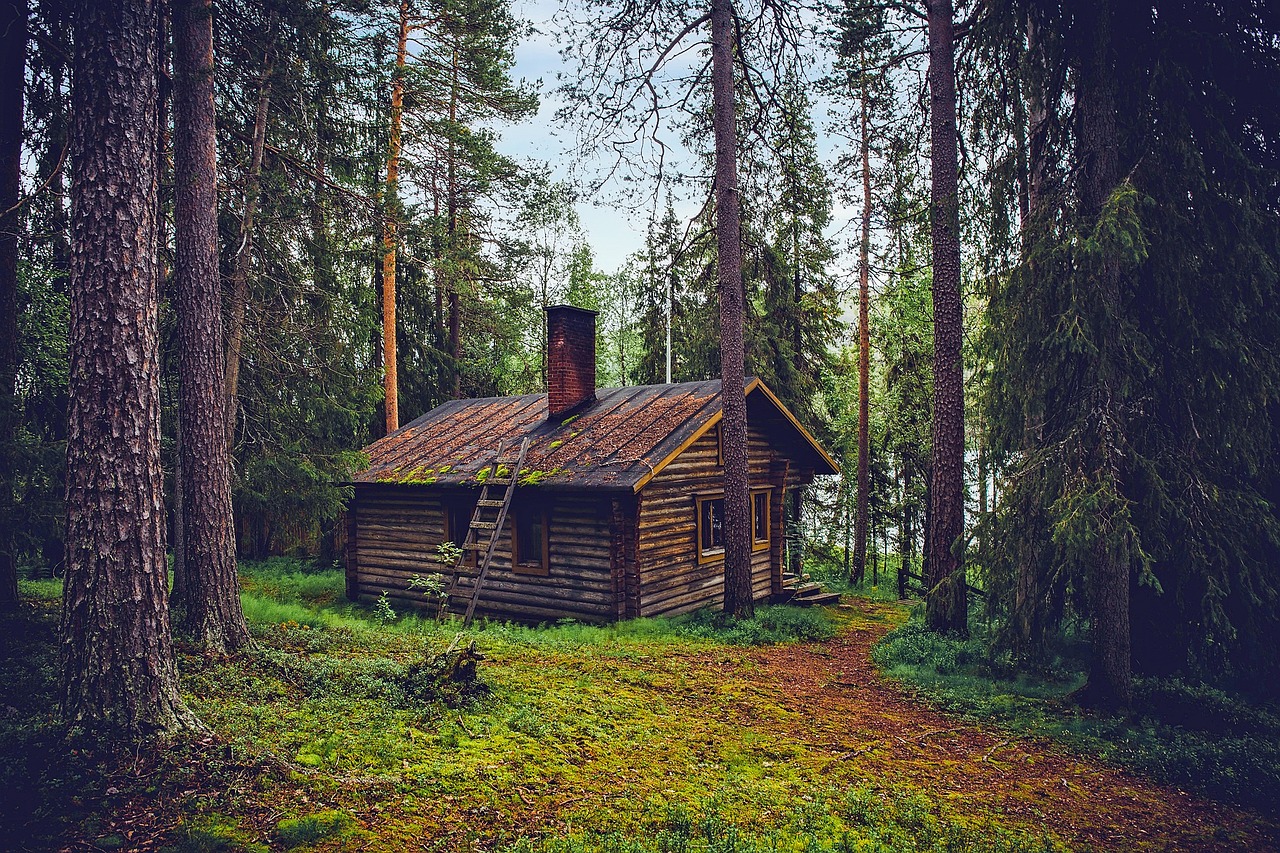 log cabin, cottage, house-1886620.jpg